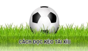 Cách Chơi Kèo Tài Xỉu Hiểu Rõ Luật Cược Và Mẹo Dự Đoán Chuẩn Xác Nhất
