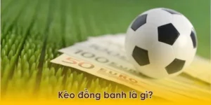 Chi Tiết Cách Chơi Kèo Đồng Banh Từ Cơ Bản Đến Nâng Cao Cho Người Mới
