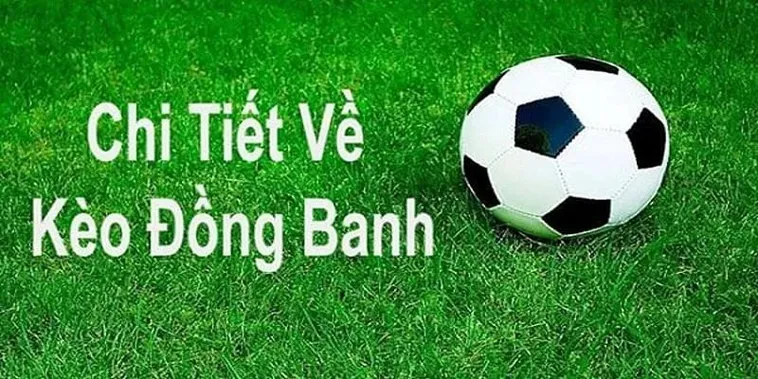 Chi Tiết Cách Chơi Kèo Đồng Banh Từ Cơ Bản Đến Nâng Cao Cho Người Mới