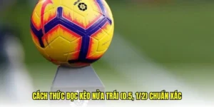 Chi Tiết Cách Chơi Kèo Chấp 0.5 Hiểu Đúng Và Đặt Cược Hiệu Quả Nhất