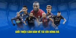Cách Chơi Kèo Tài Xỉu Bóng Đá Chuẩn Xác Và Chiến Thuật Tăng Cơ Hội Thắng Lớn