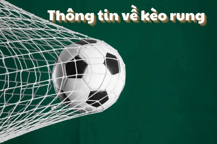 Hướng Dẫn Cách Chơi Kèo Rung Trong Bóng Đá Hiệu Quả Và Dễ Hiểu Nhất